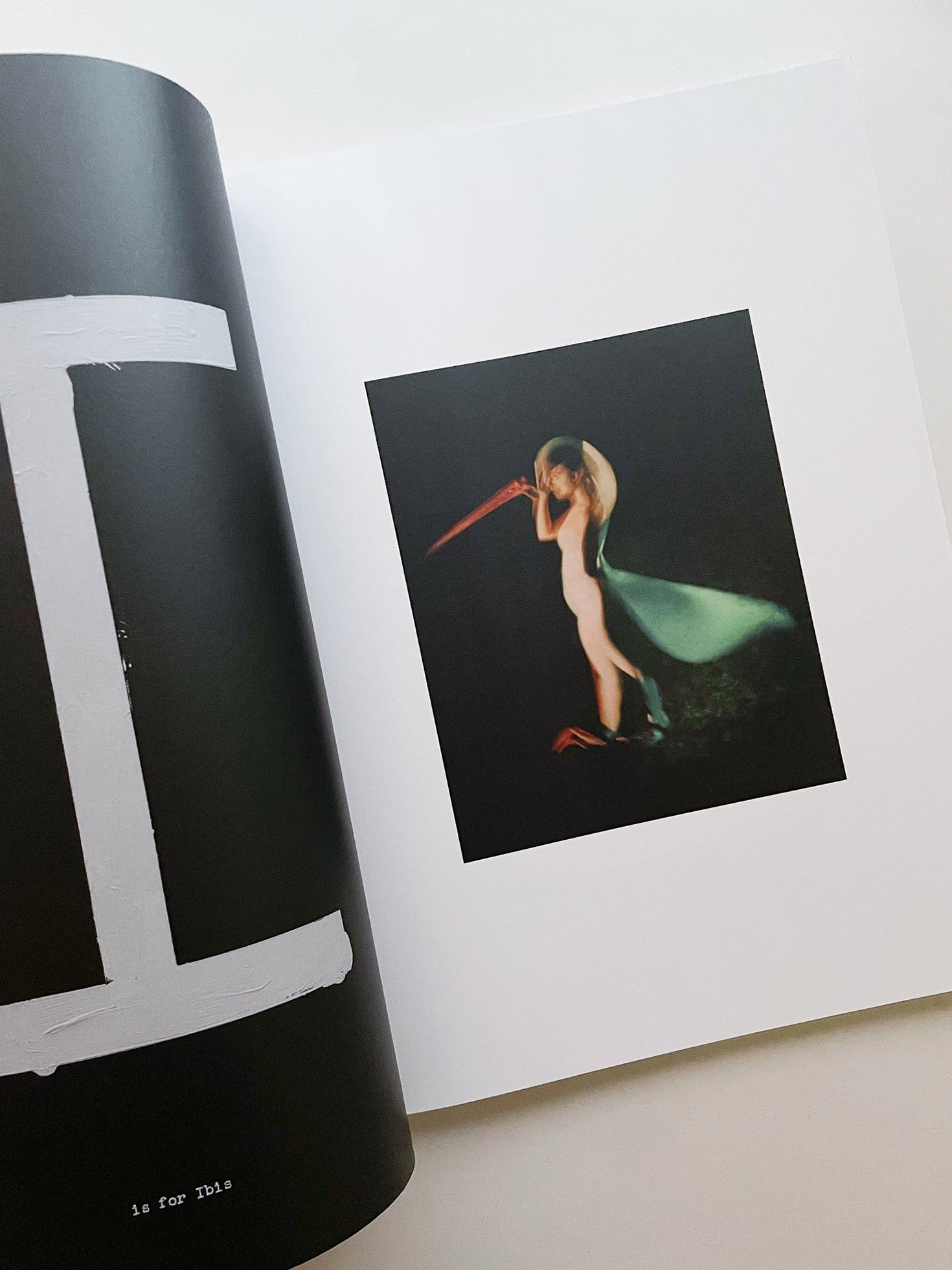 A is for Ant / Jack Davison