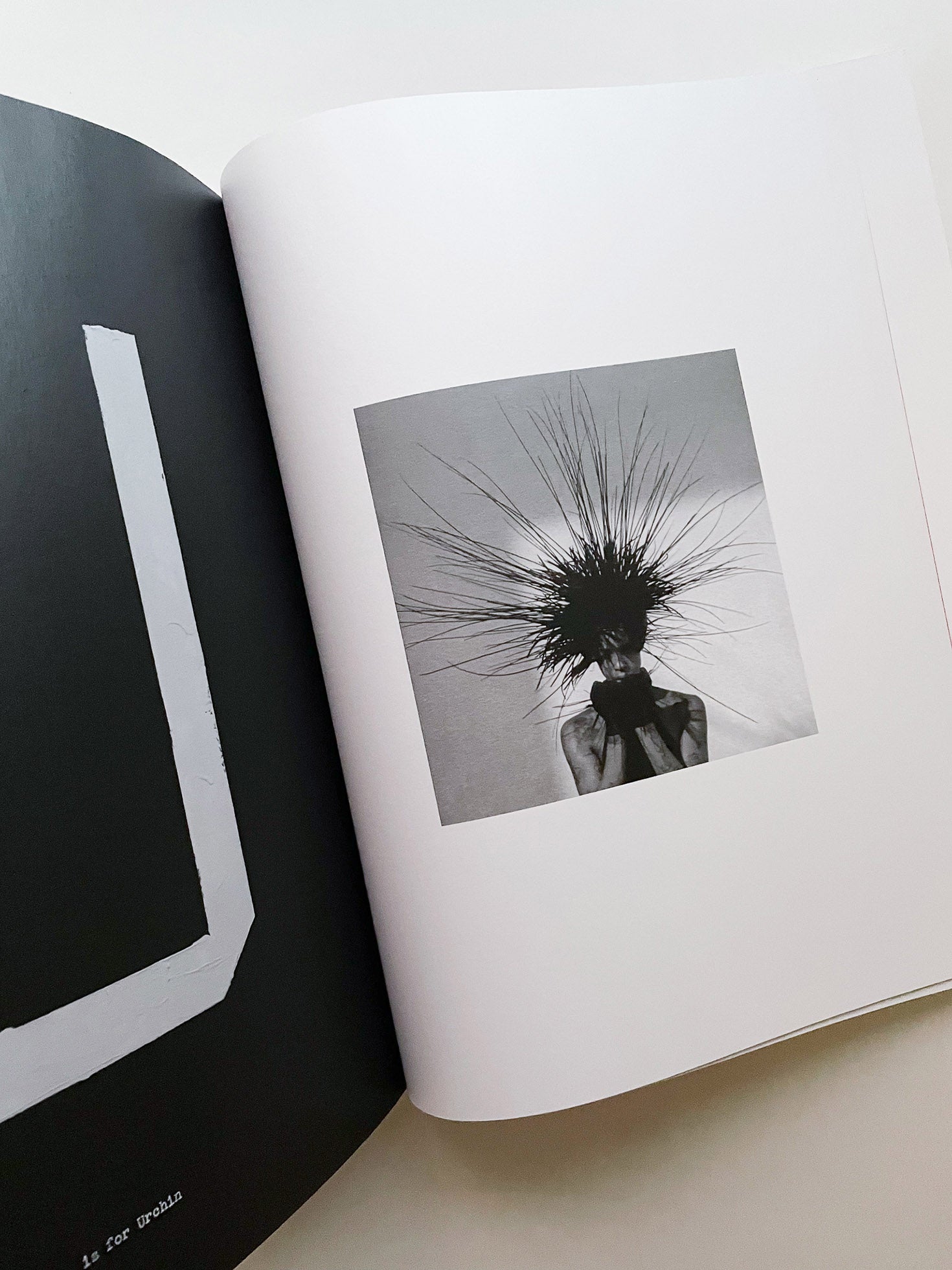 A is for Ant / Jack Davison