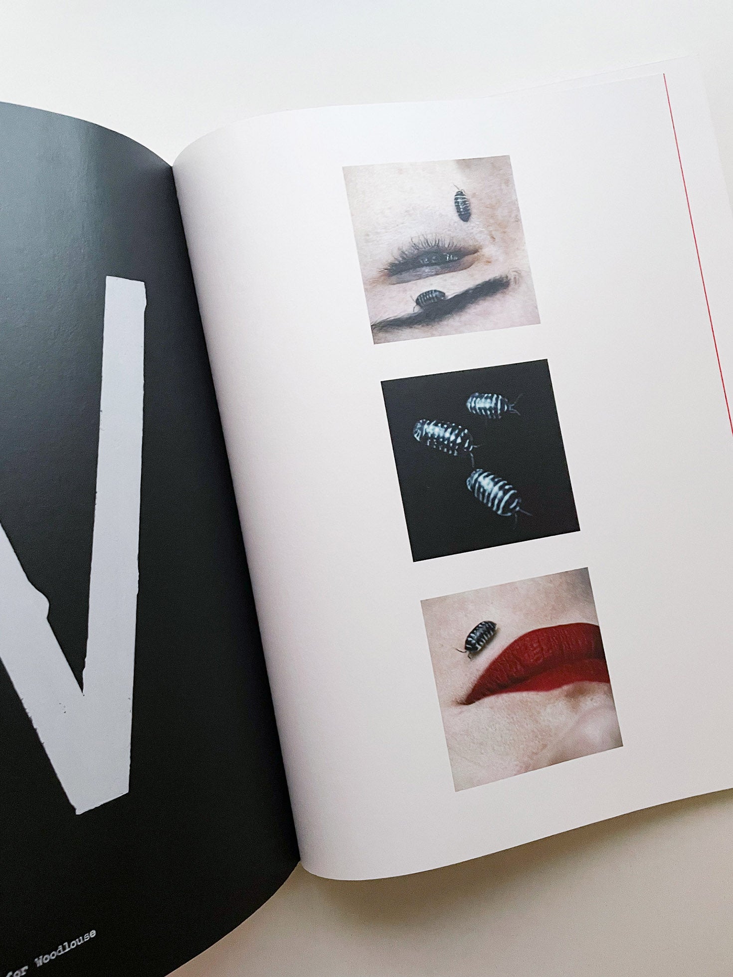 A is for Ant / Jack Davison