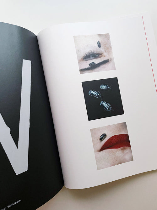 A is for Ant / Jack Davison