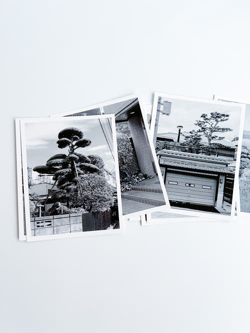 A Guide on Gardening II / Rubén Montesinos