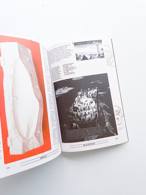 Collapsed Mythologies A Geofinancial Atlas / Eline Benjaminsen, Dayna Casey [SECOND EDITION]