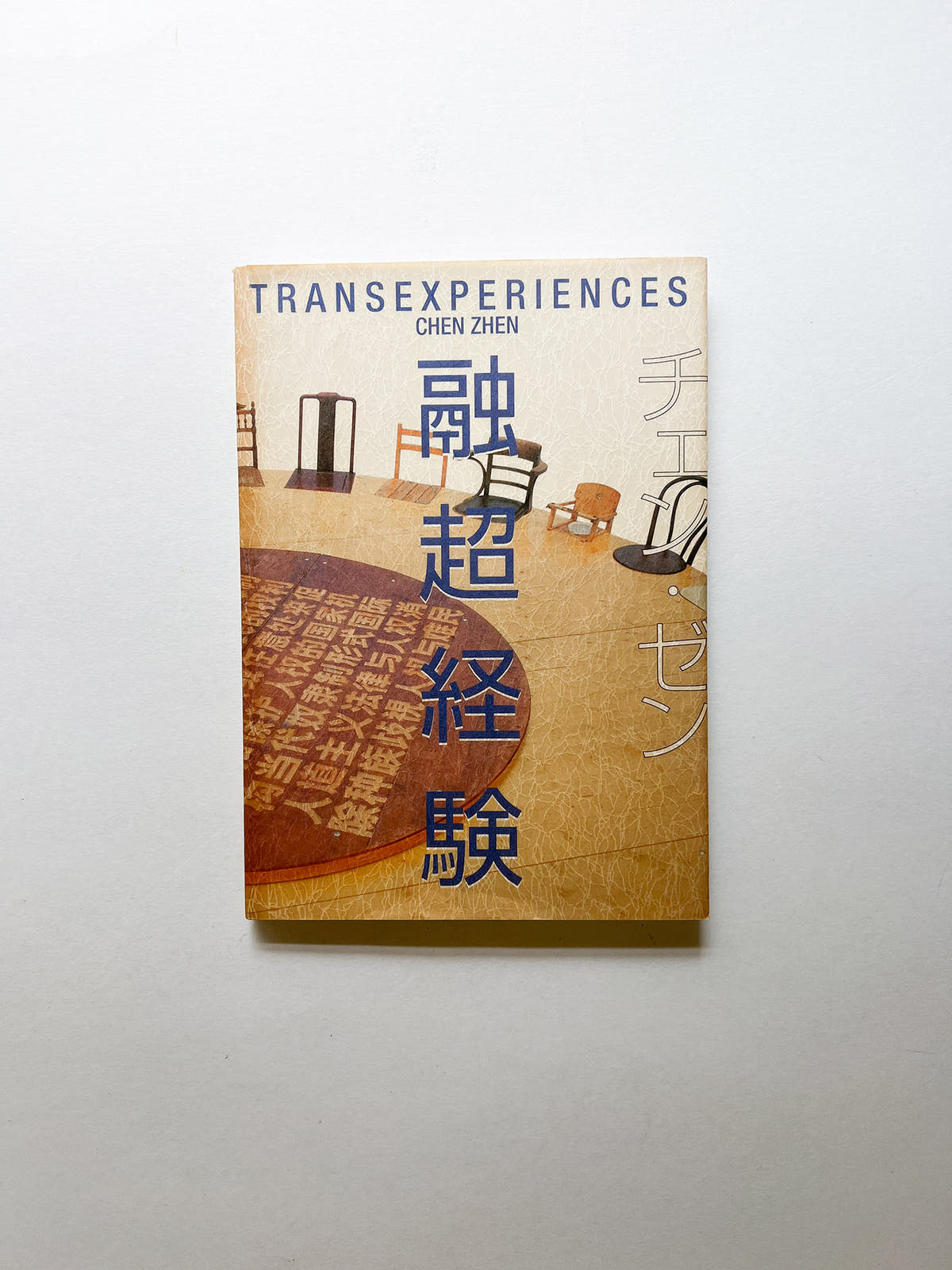 TRANSEXPERIENCES / CHEN ZHEN