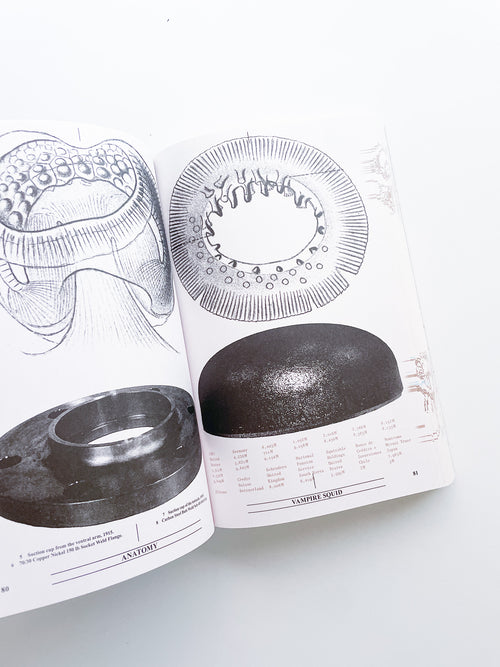 Collapsed Mythologies A Geofinancial Atlas / Eline Benjaminsen, Dayna Casey [SECOND EDITION]