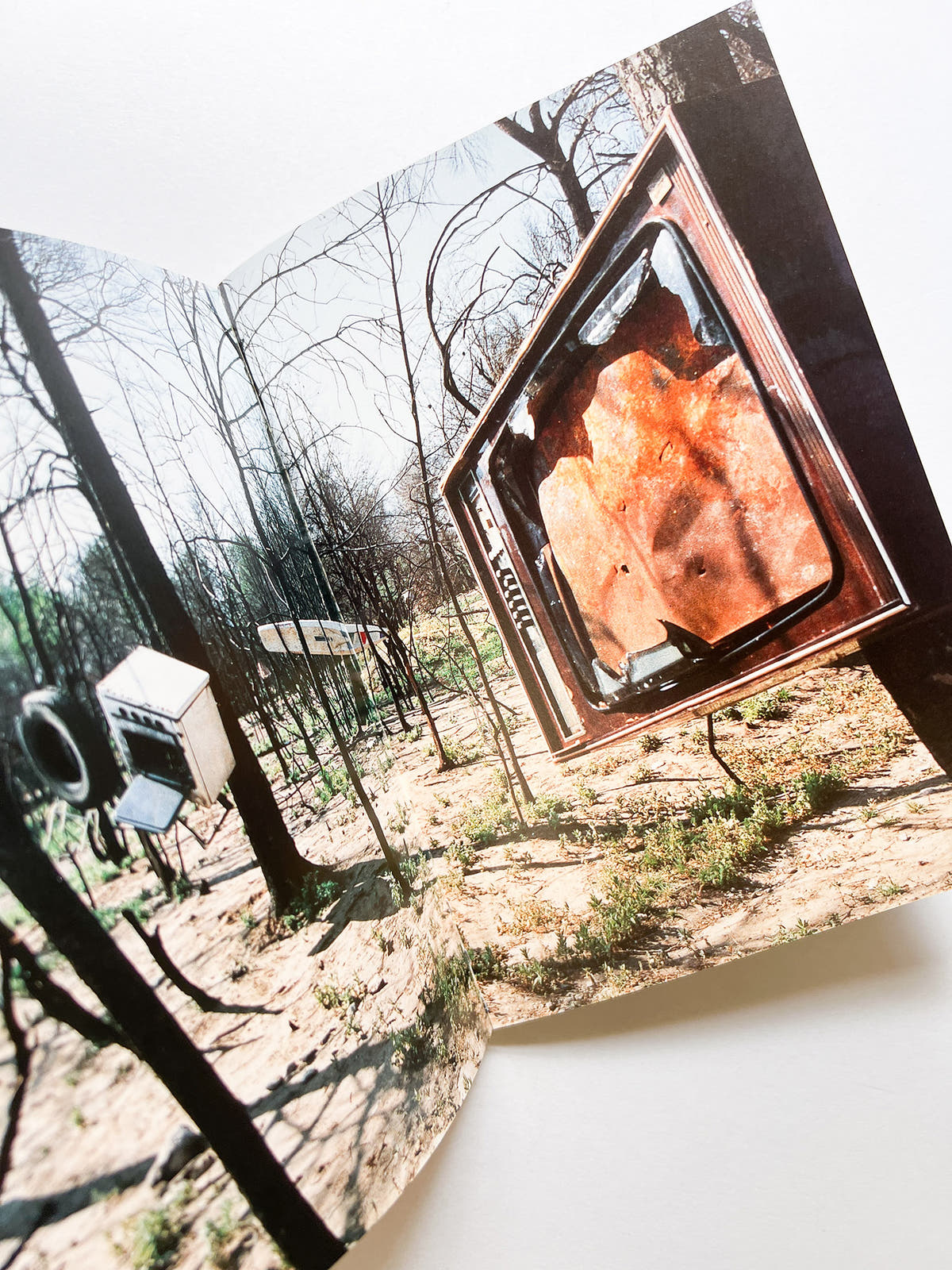 TRANSEXPERIENCES / CHEN ZHEN