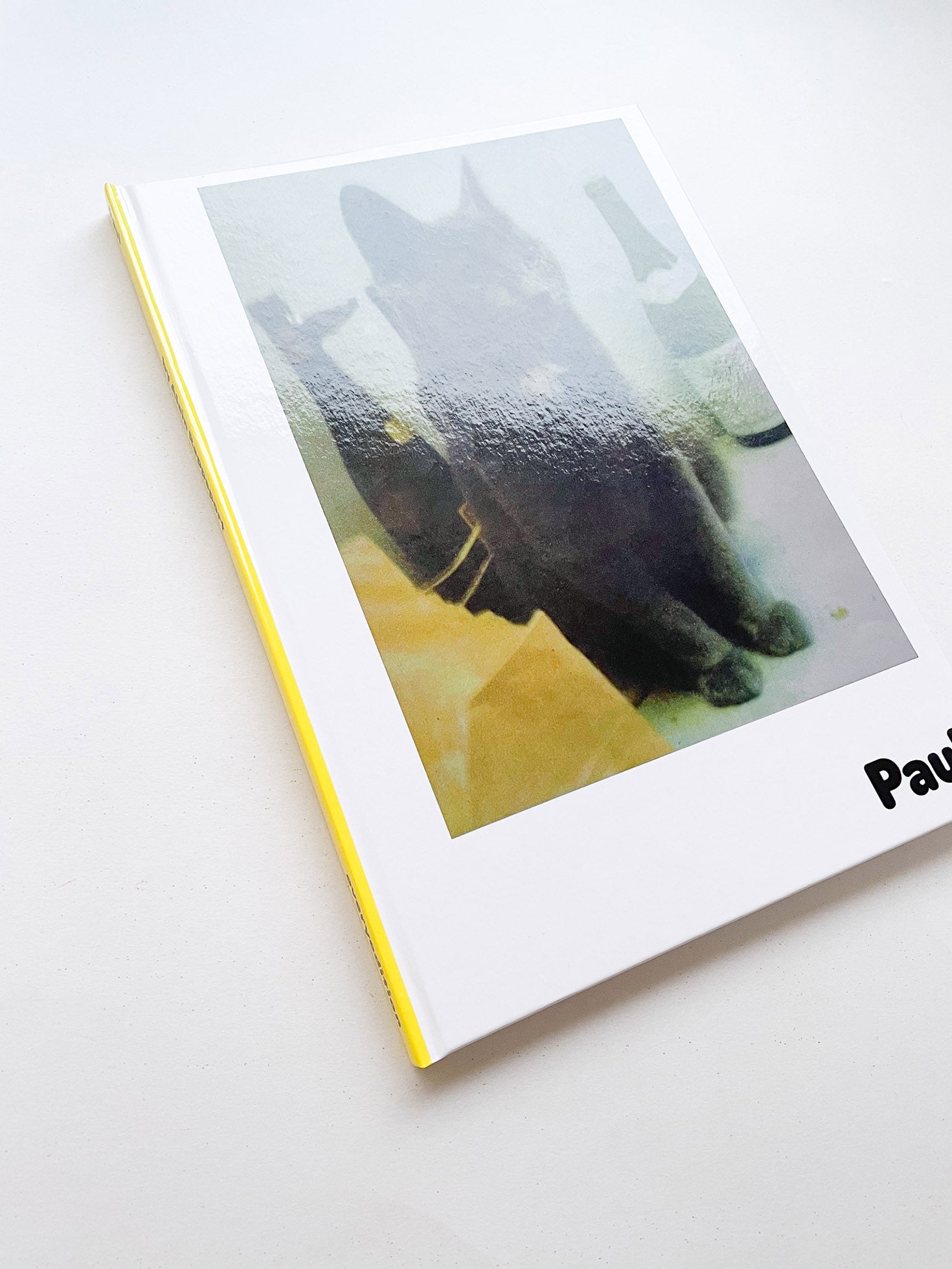 Paul / Alain Rappaport