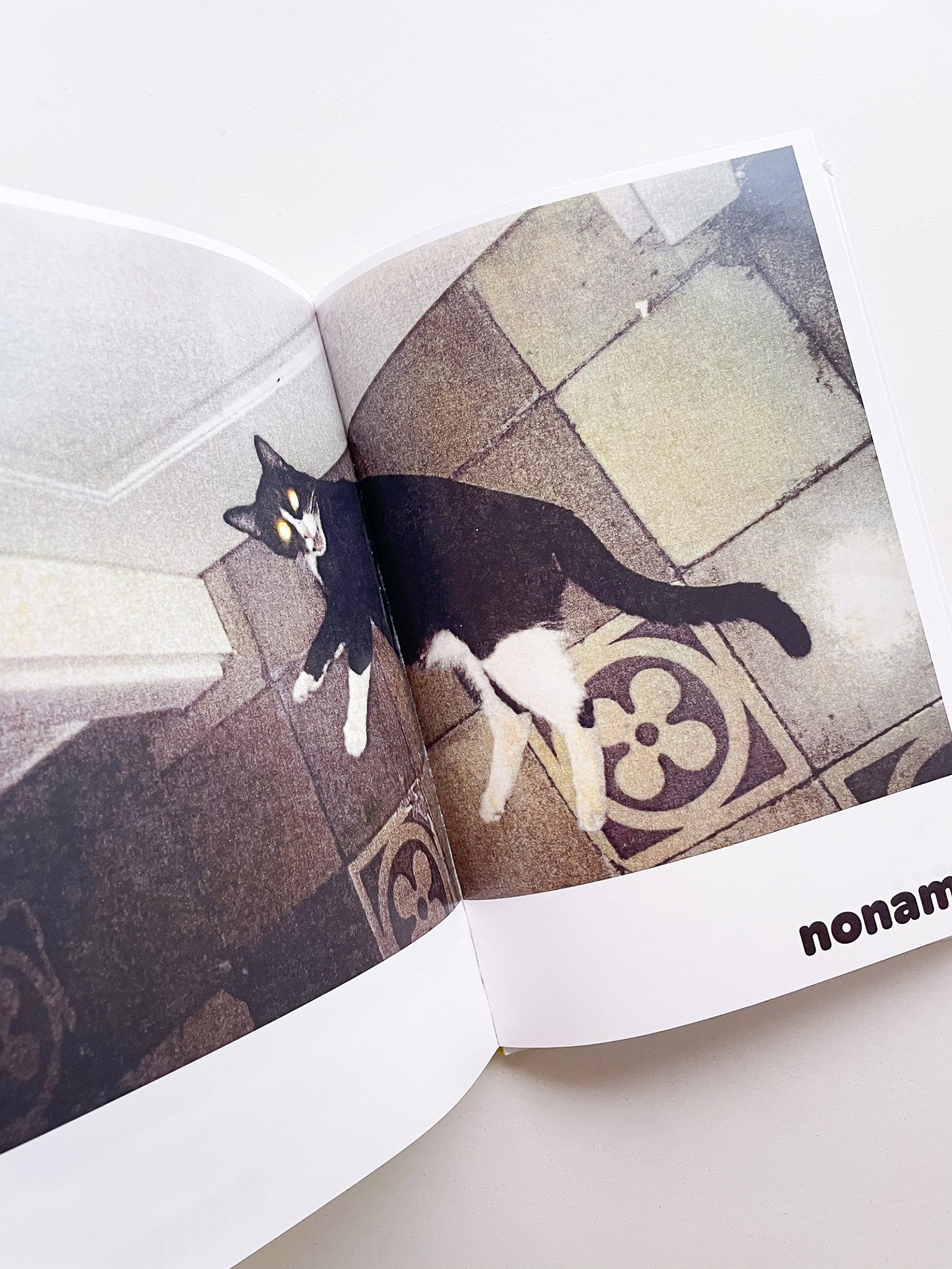 Paul / Alain Rappaport