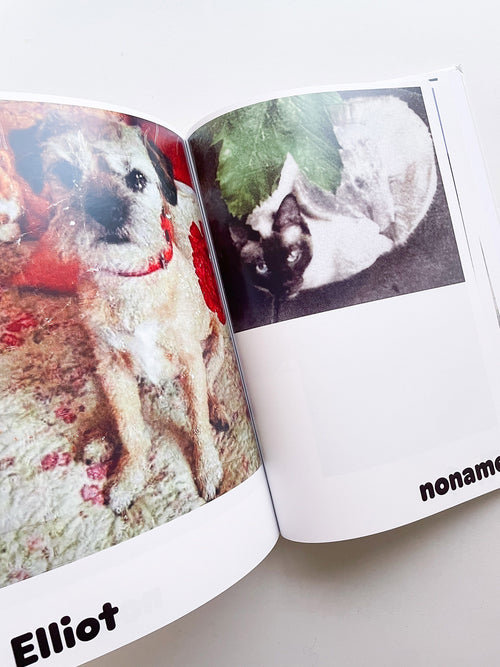 Paul / Alain Rappaport