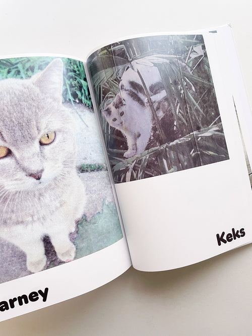 Paul / Alain Rappaport