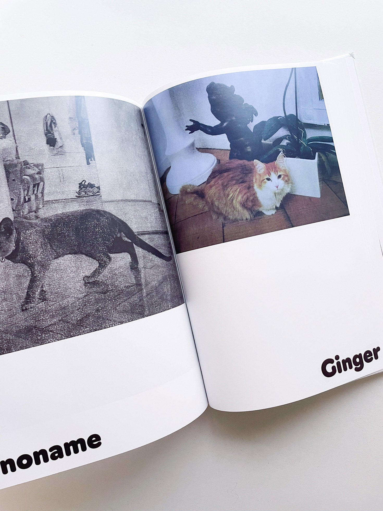 Paul / Alain Rappaport