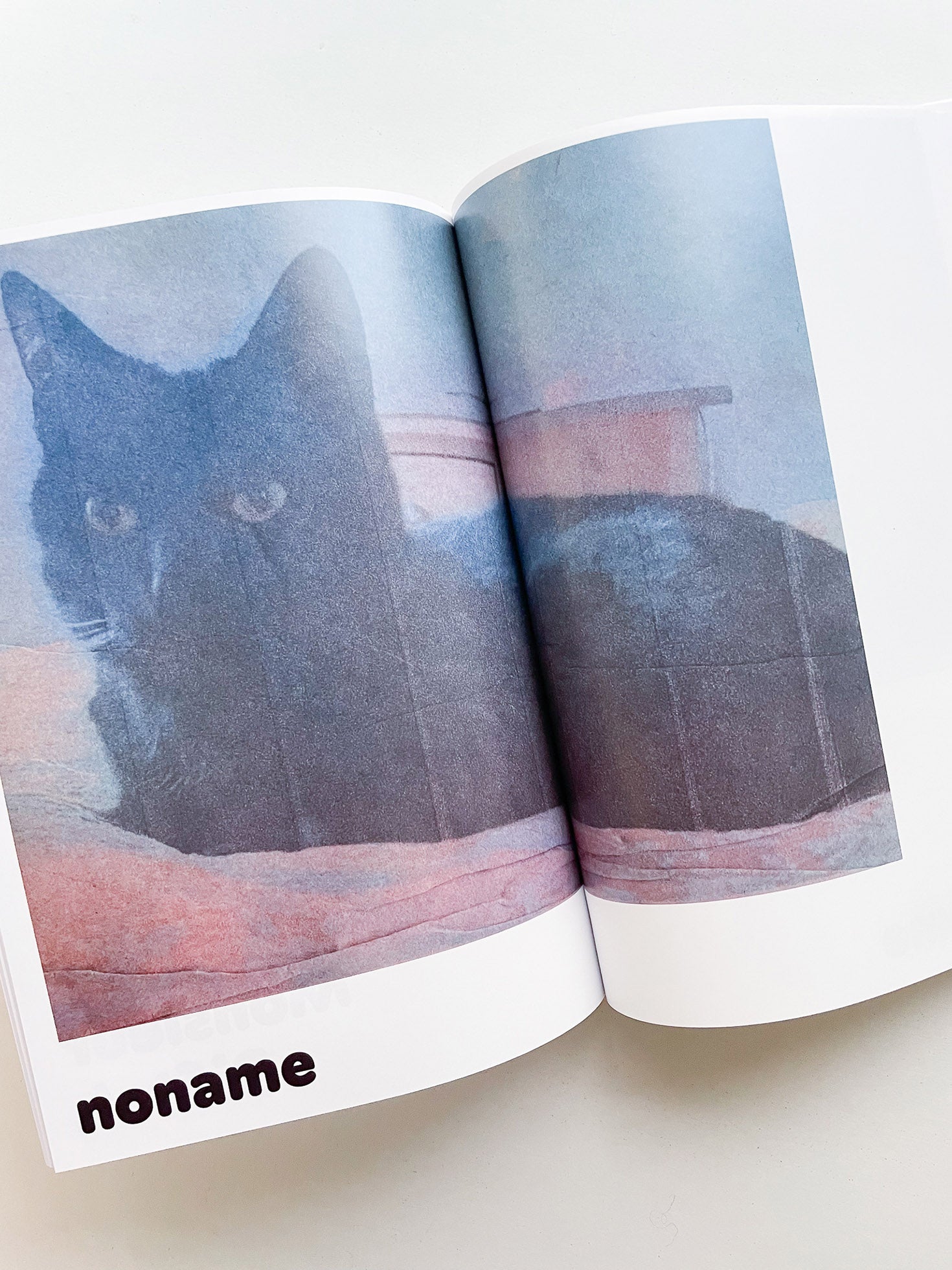 Paul / Alain Rappaport