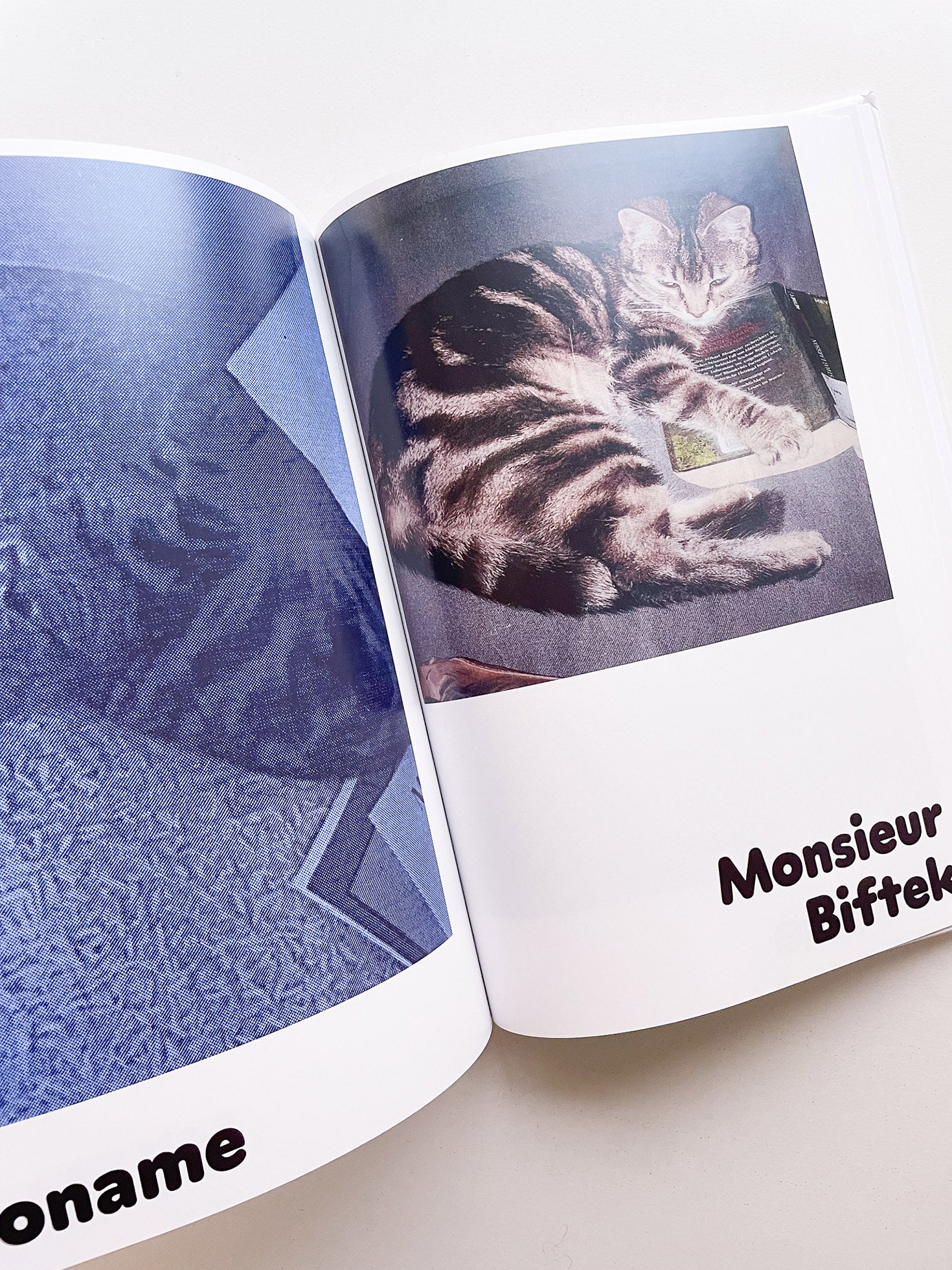 Paul / Alain Rappaport