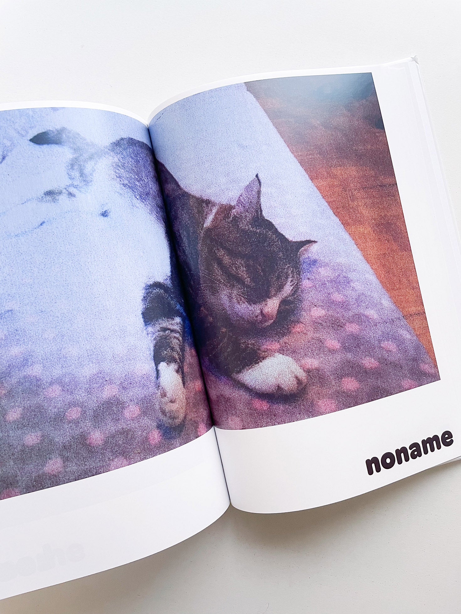 Paul / Alain Rappaport