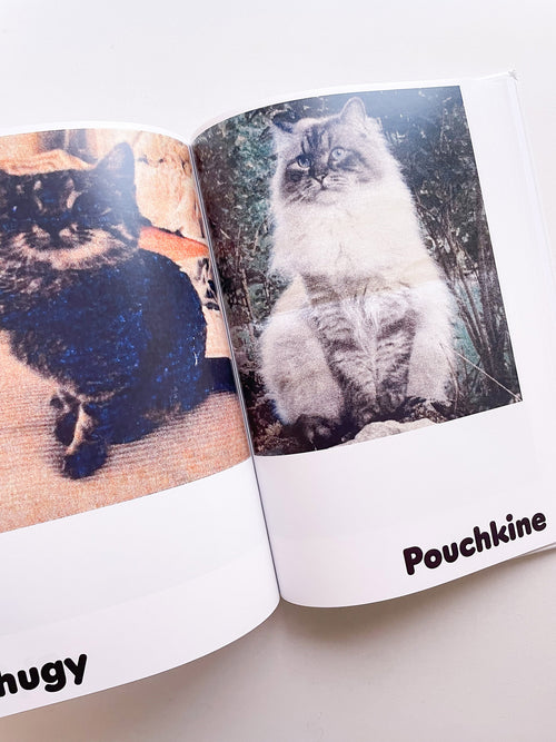 Paul / Alain Rappaport