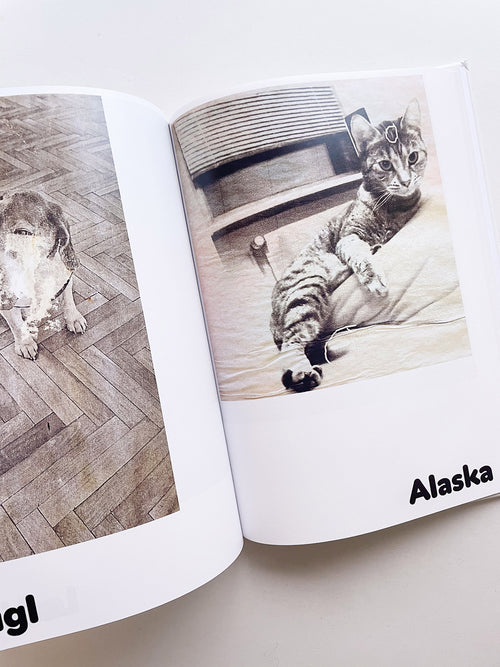 Paul / Alain Rappaport