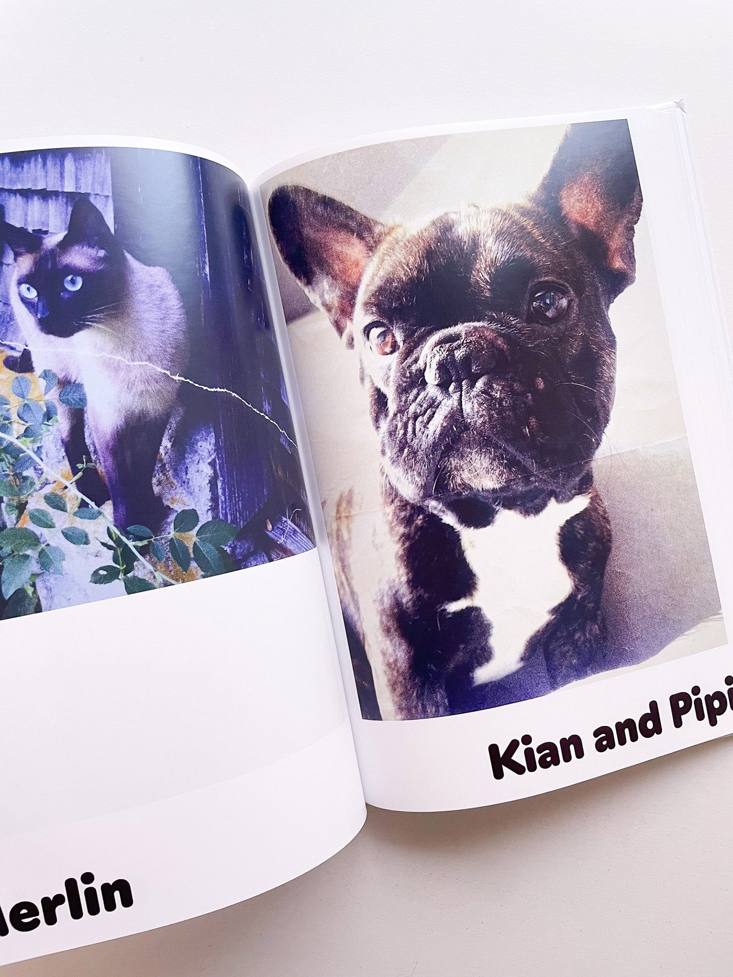 Paul / Alain Rappaport