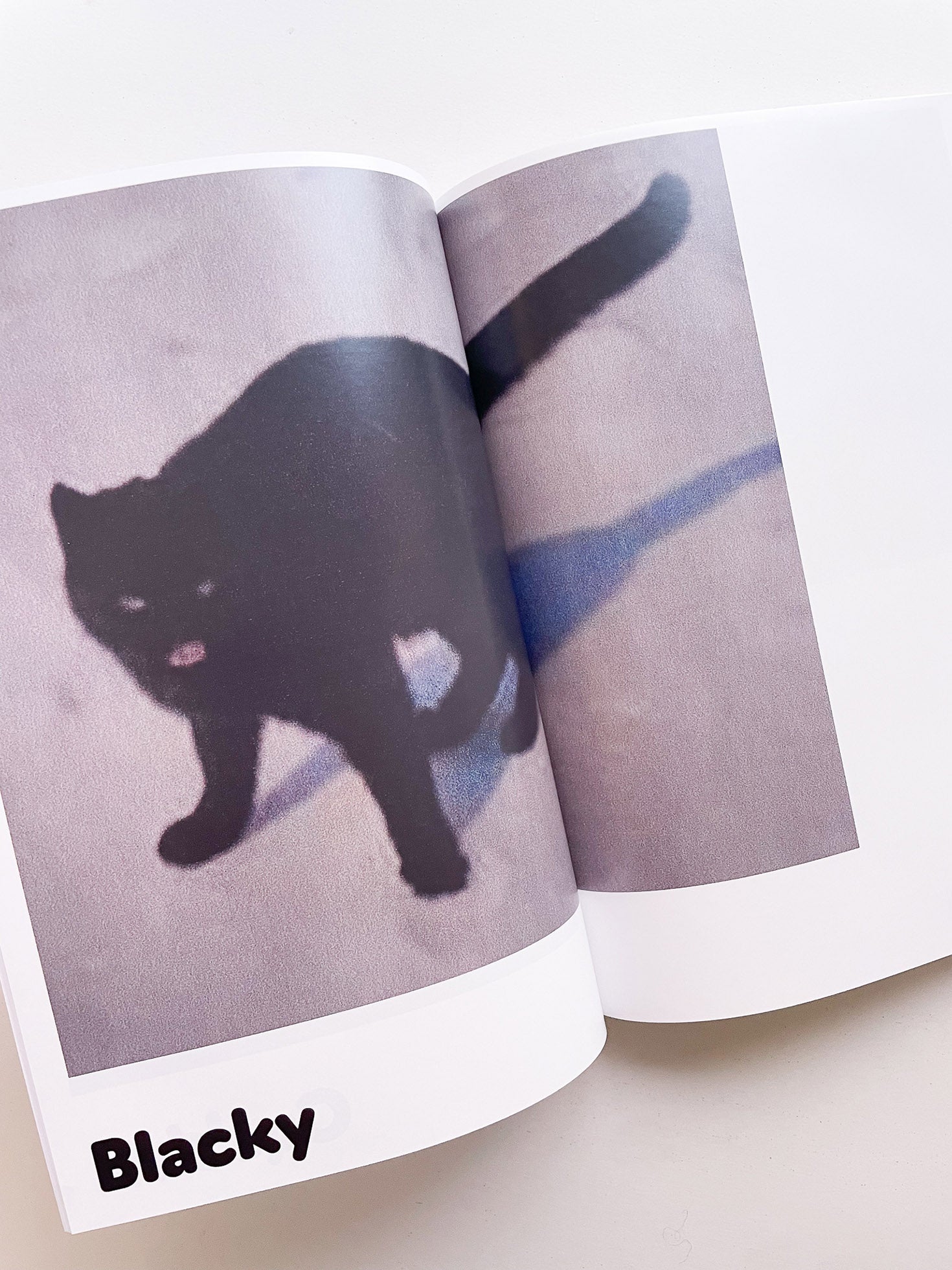 Paul / Alain Rappaport