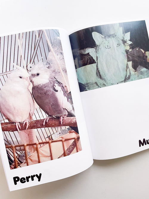 Paul / Alain Rappaport