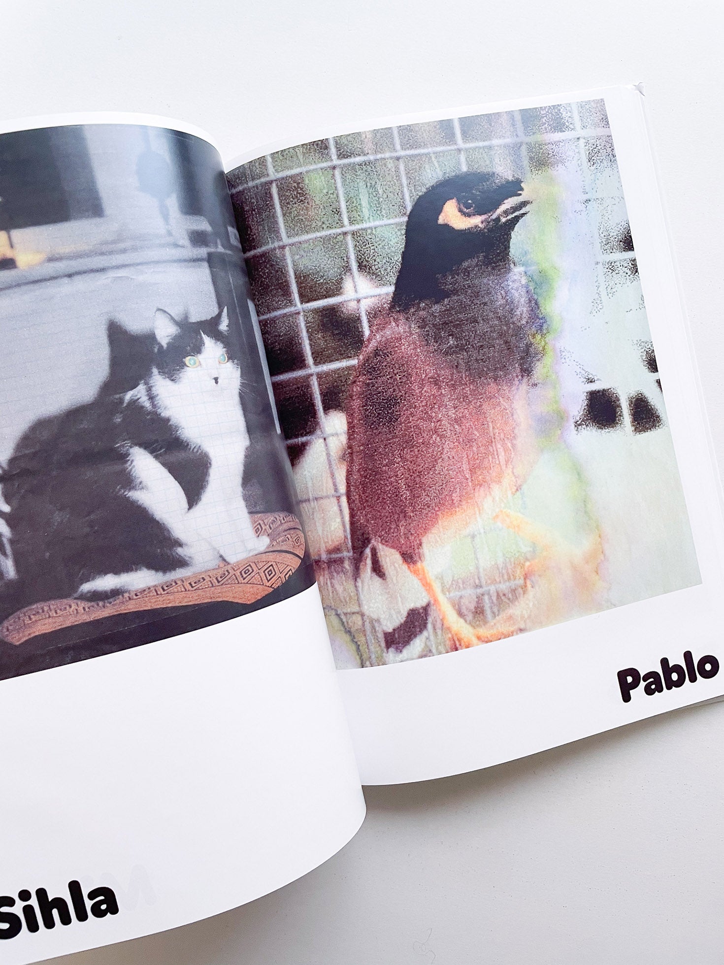 Paul / Alain Rappaport