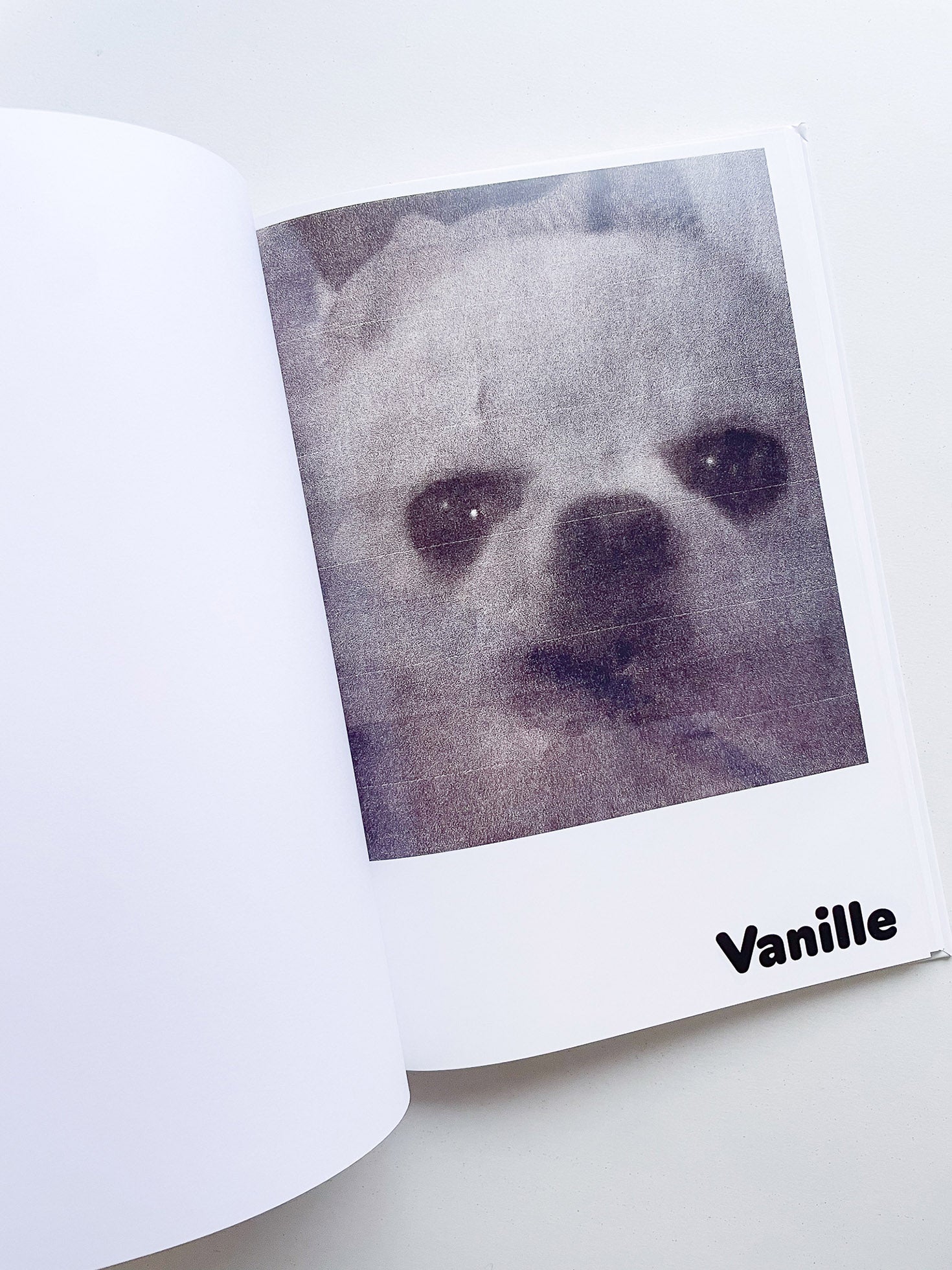 Paul / Alain Rappaport