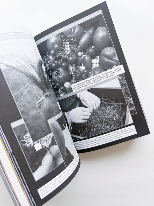 WORKING ON TRANSFORMATION / Newrope