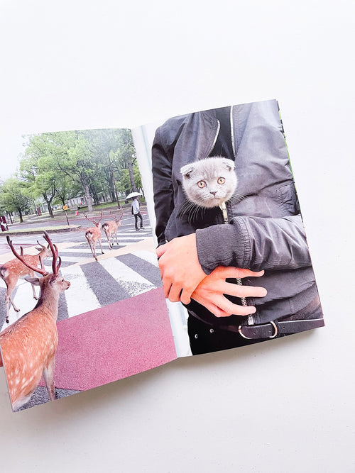 SOMEWHERE 2017-2023 / Sam Youkilis