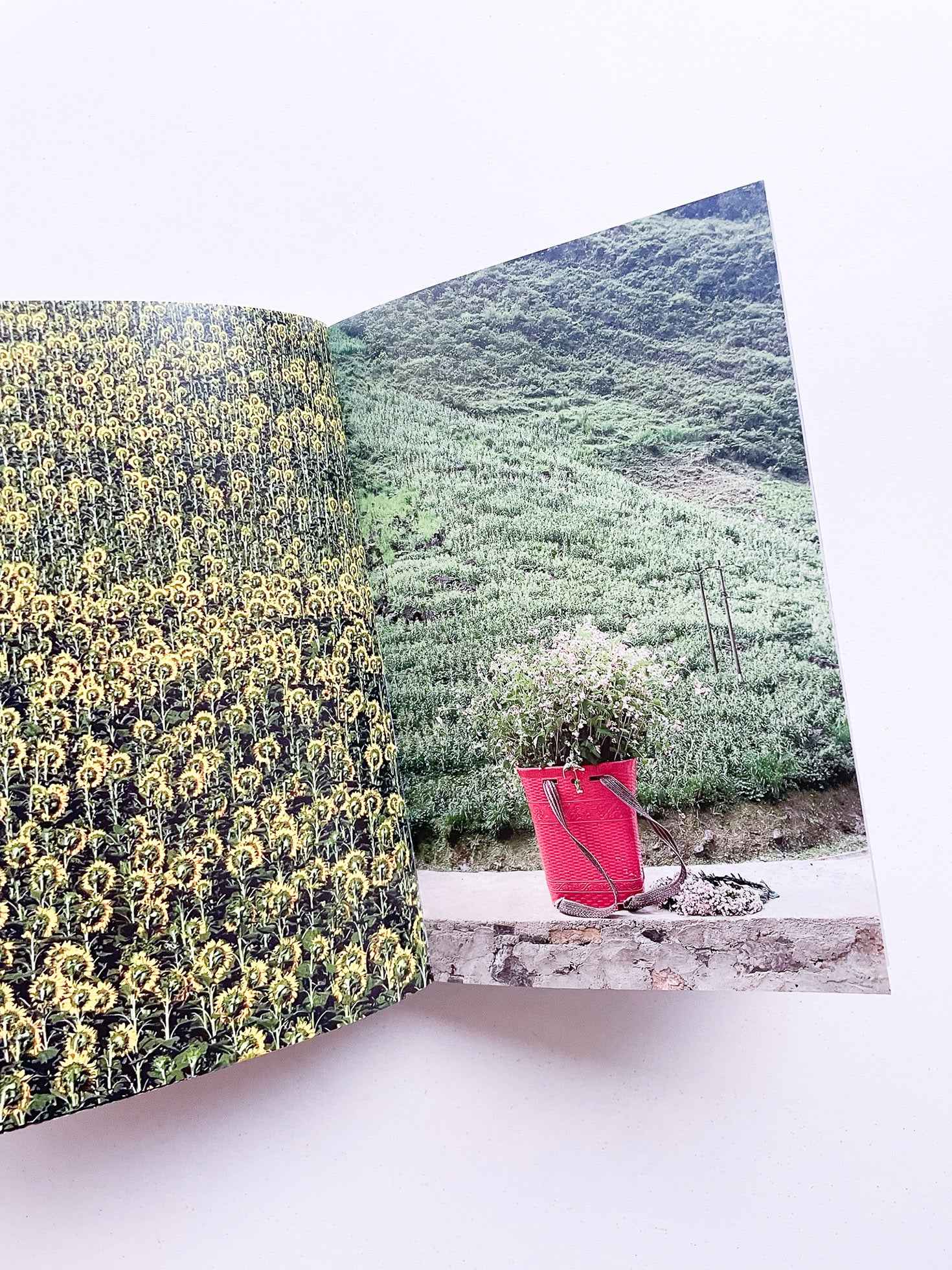 SOMEWHERE 2017-2023 / Sam Youkilis