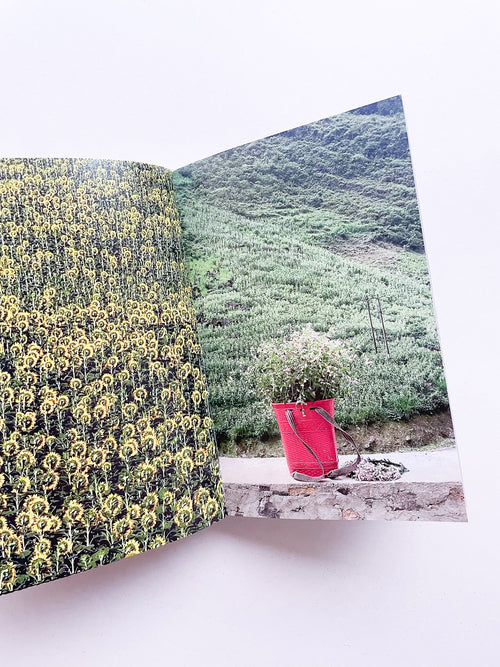 SOMEWHERE 2017-2023 / Sam Youkilis