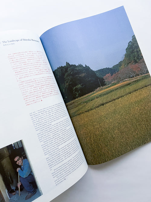 Subsequence  volume 08