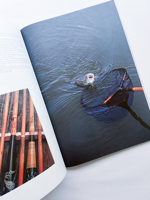 Subsequence  volume 08