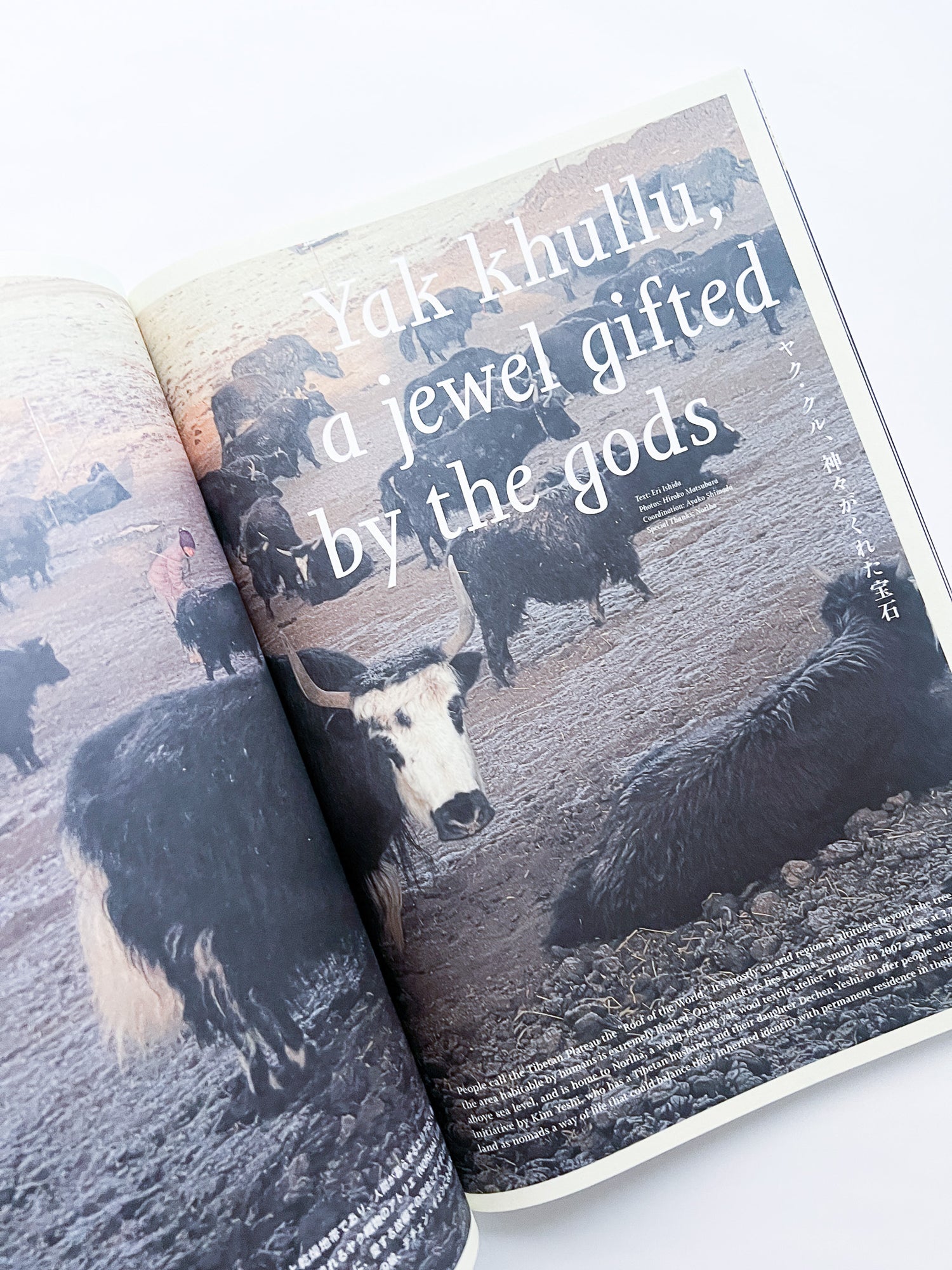 Subsequence  volume 08