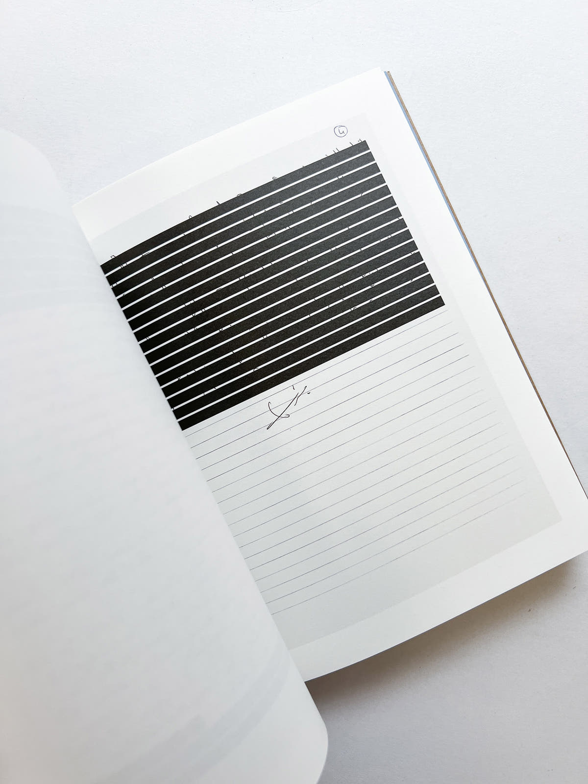 PICALSO / Sophie Calle