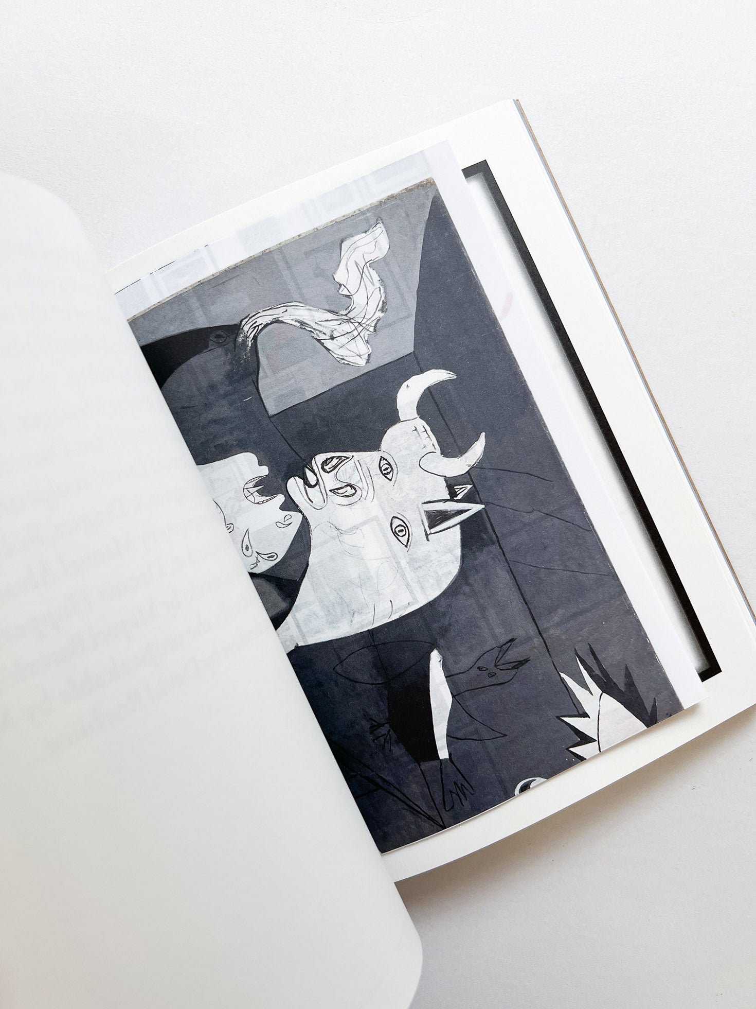 PICALSO / Sophie Calle