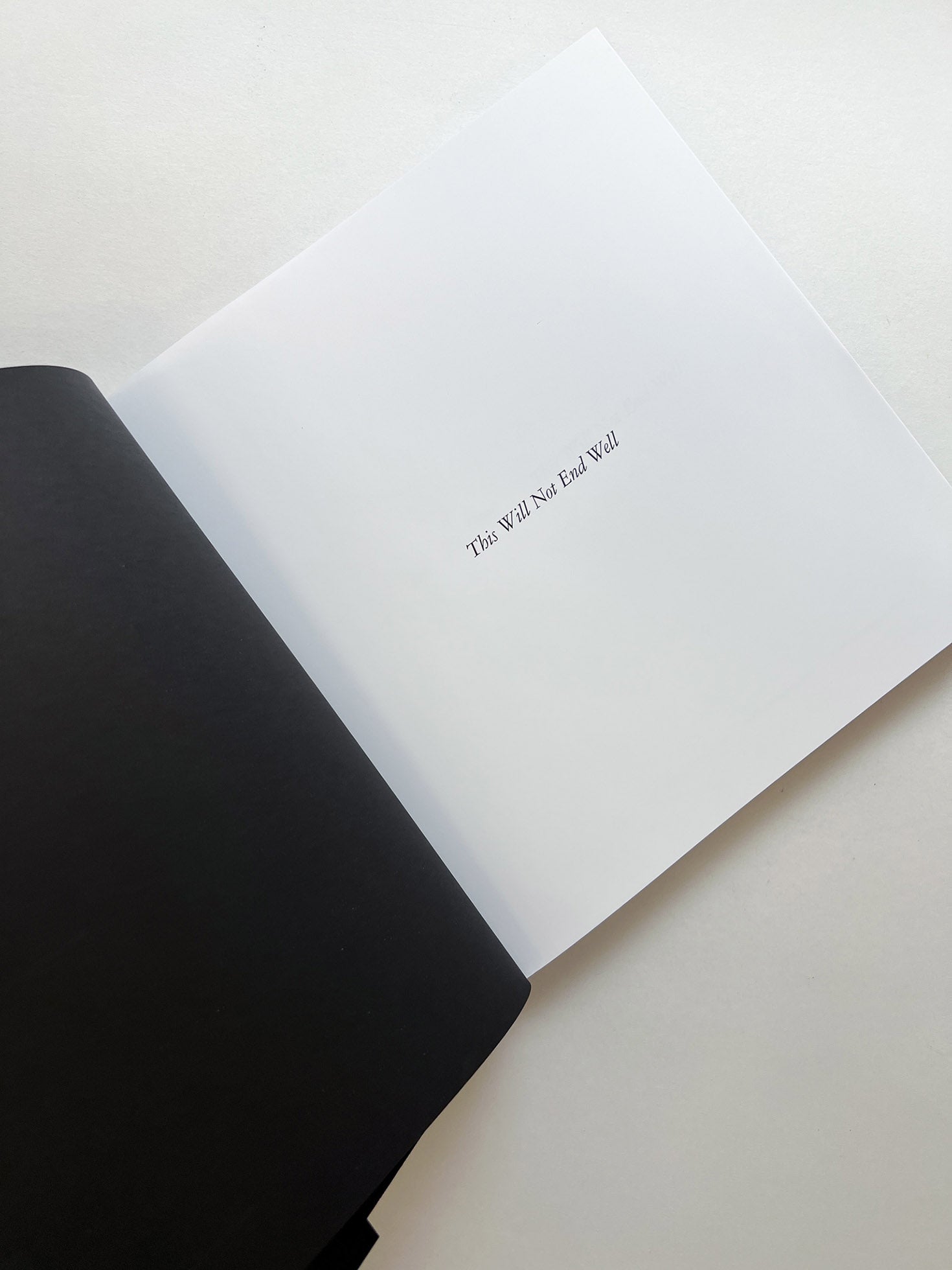 This Will Not End Well / Nan Goldin