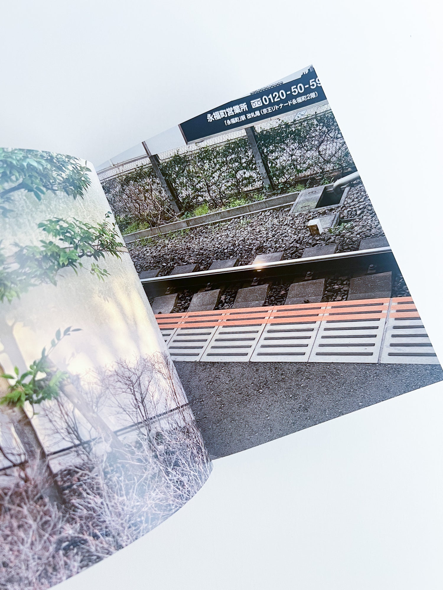 Good Echo / Takuto Okamoto