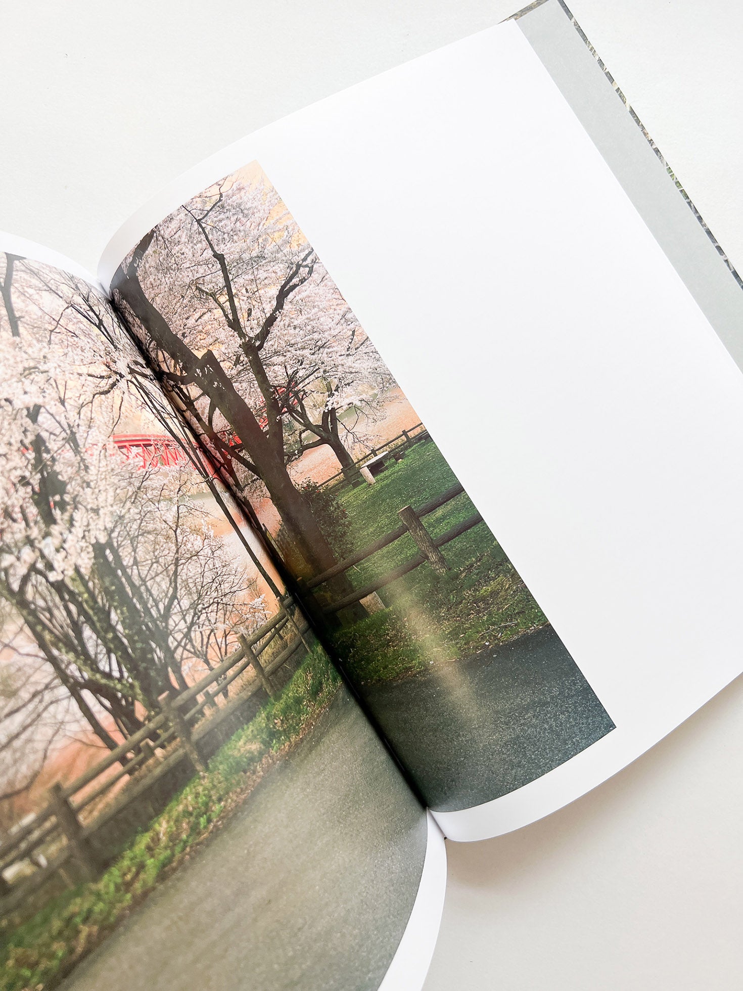 JAPAN / Toshio Shibata [SIGNED]