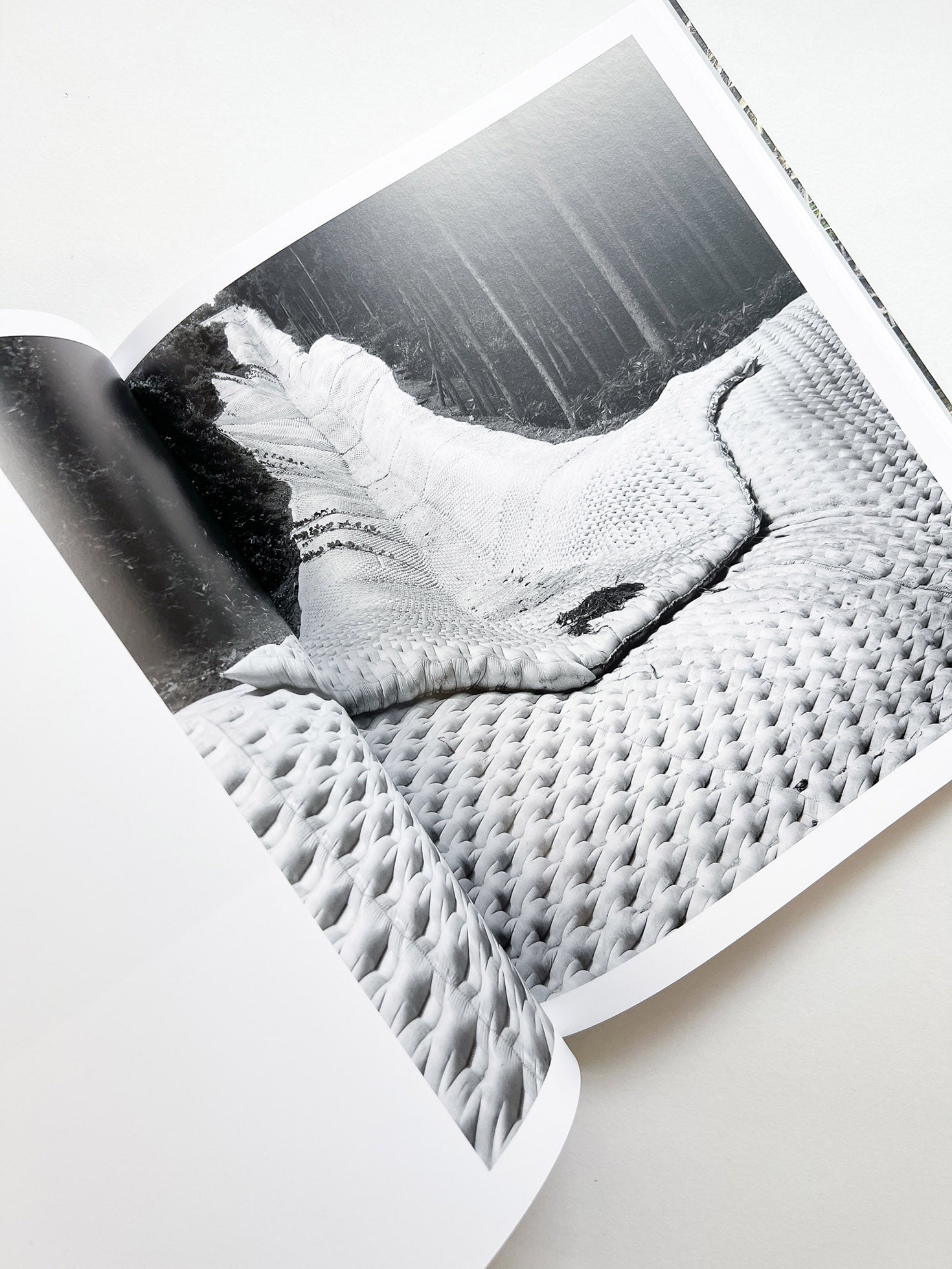 JAPAN / Toshio Shibata [SIGNED]