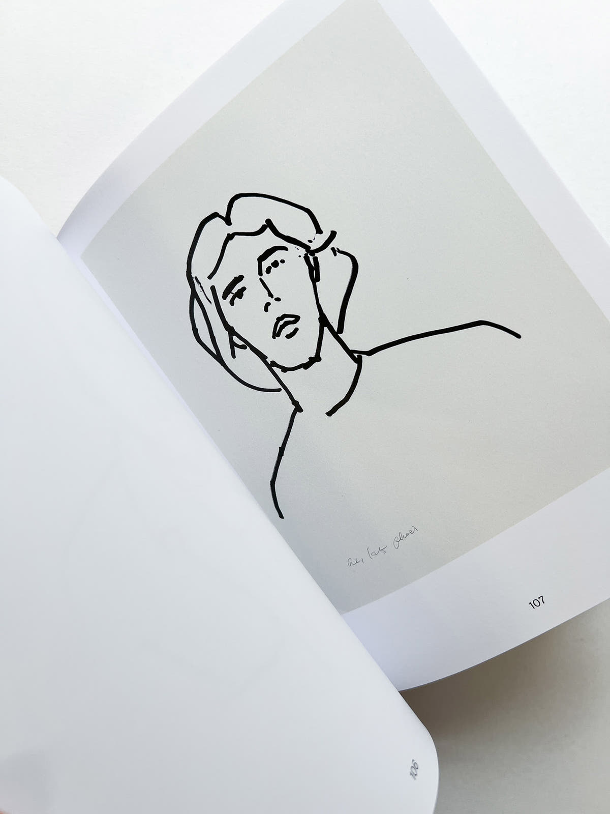 AUTUMN / Alex Katz