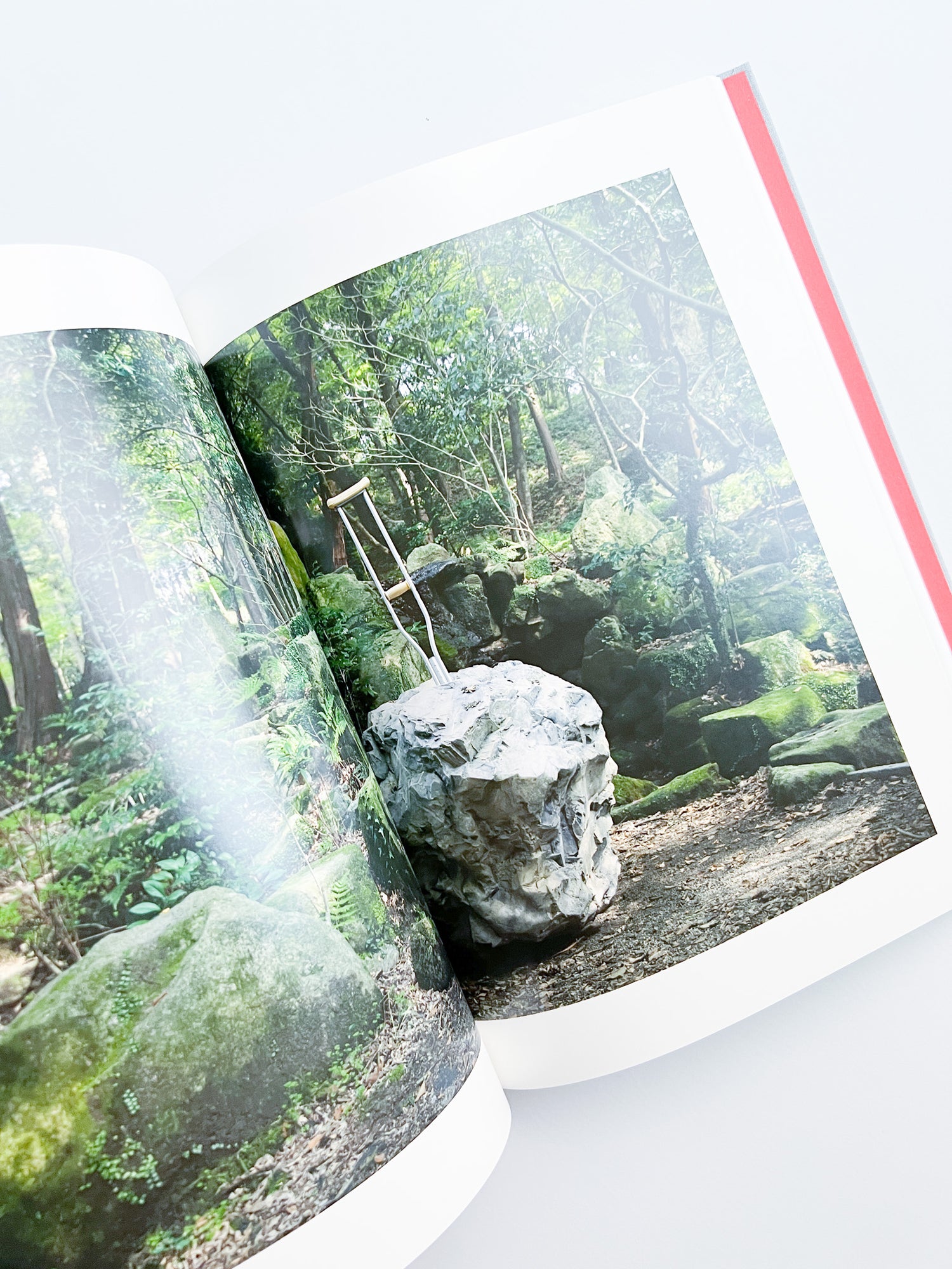 The Problem of the Rock / Simon Fujiwara
