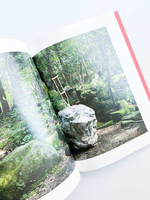 The Problem of the Rock / Simon Fujiwara