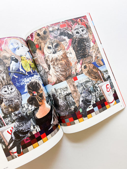 Light / Koichi Enomoto