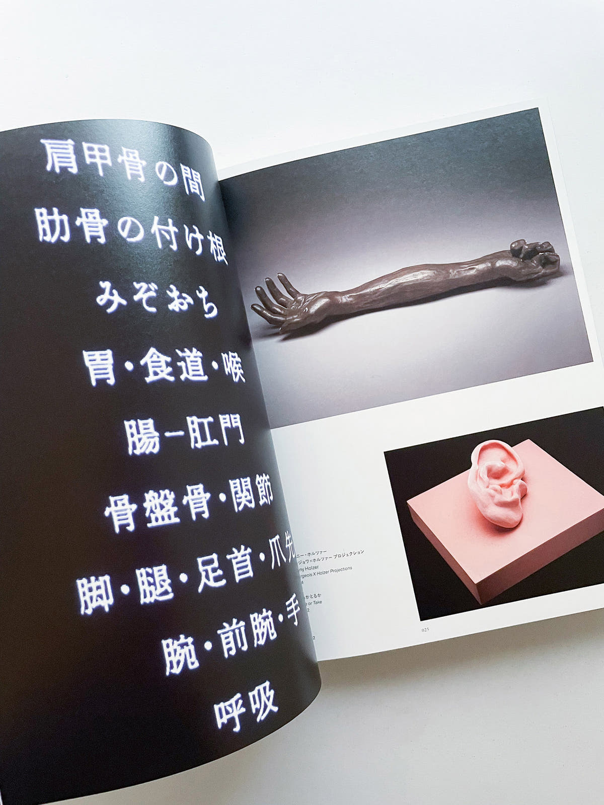 ルイーズ・ブルジョワ展：地獄から帰ってきたところ 言っとくけど、素晴らしかったわ　Louise Bourgeois: I have been to hell and back. And let me tell you, it was wonderful.