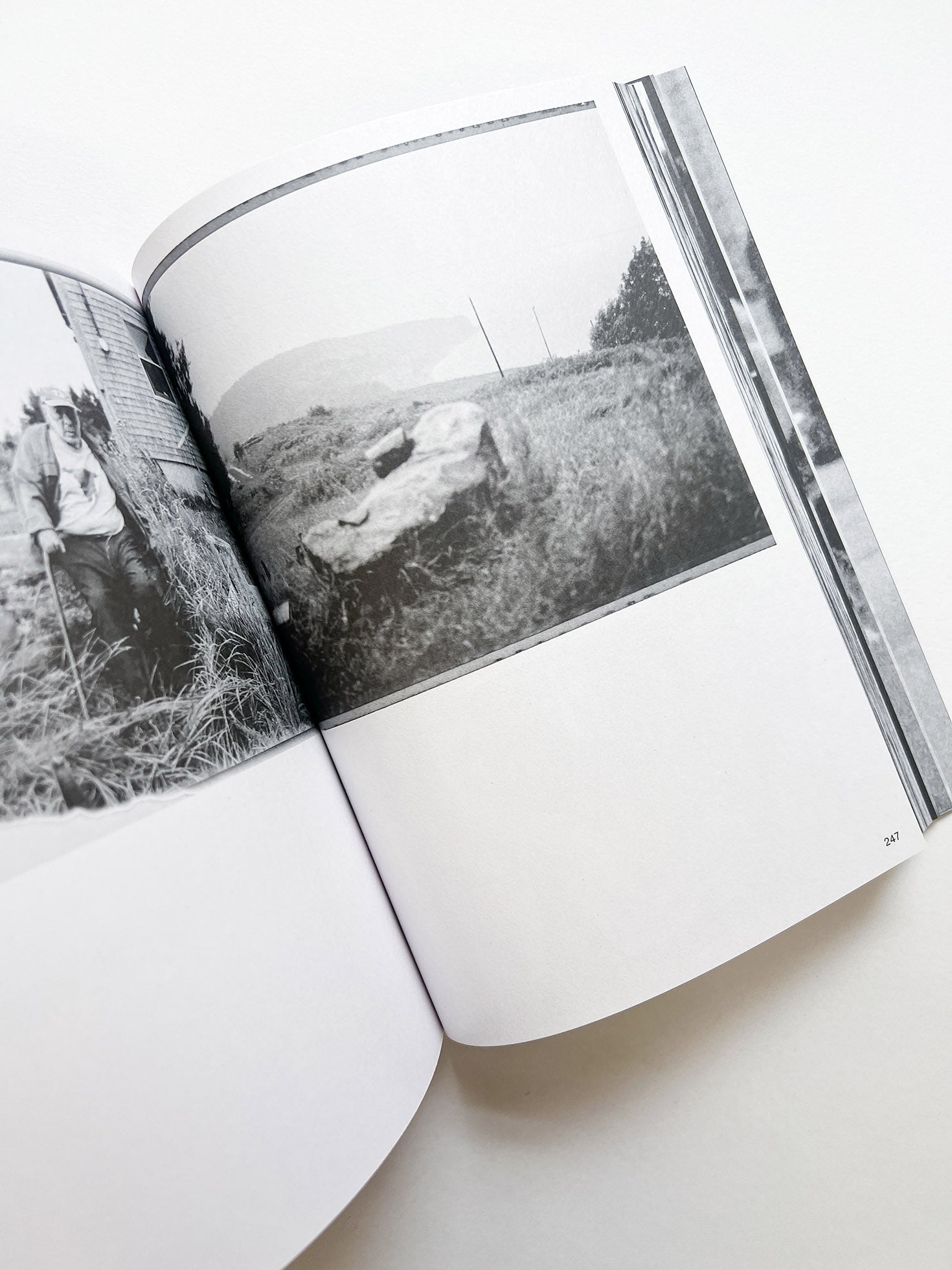 BEWARE / Ari Marcopoulos