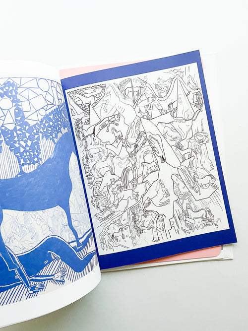 花とイルカとユニコーン / 小橋陽介