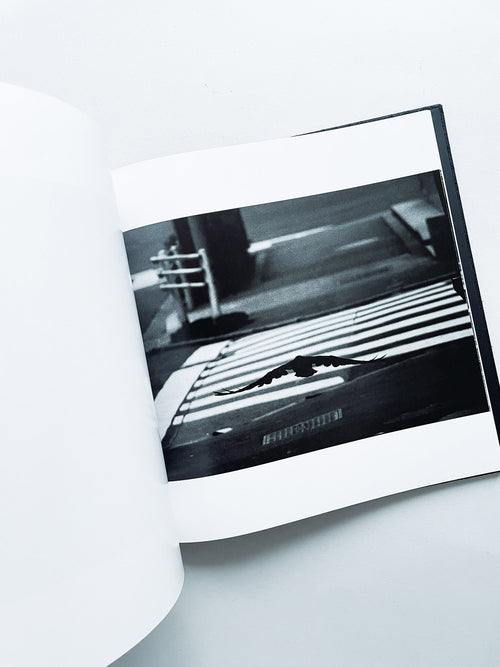 鴉 RAVENS / Masahisa Fukase