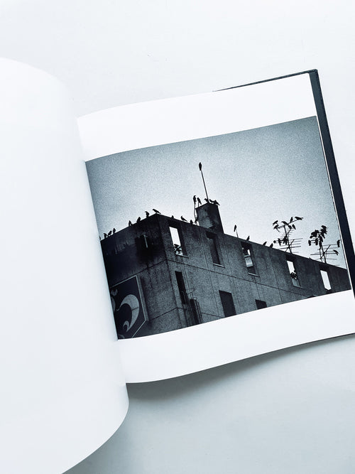 鴉 RAVENS / Masahisa Fukase