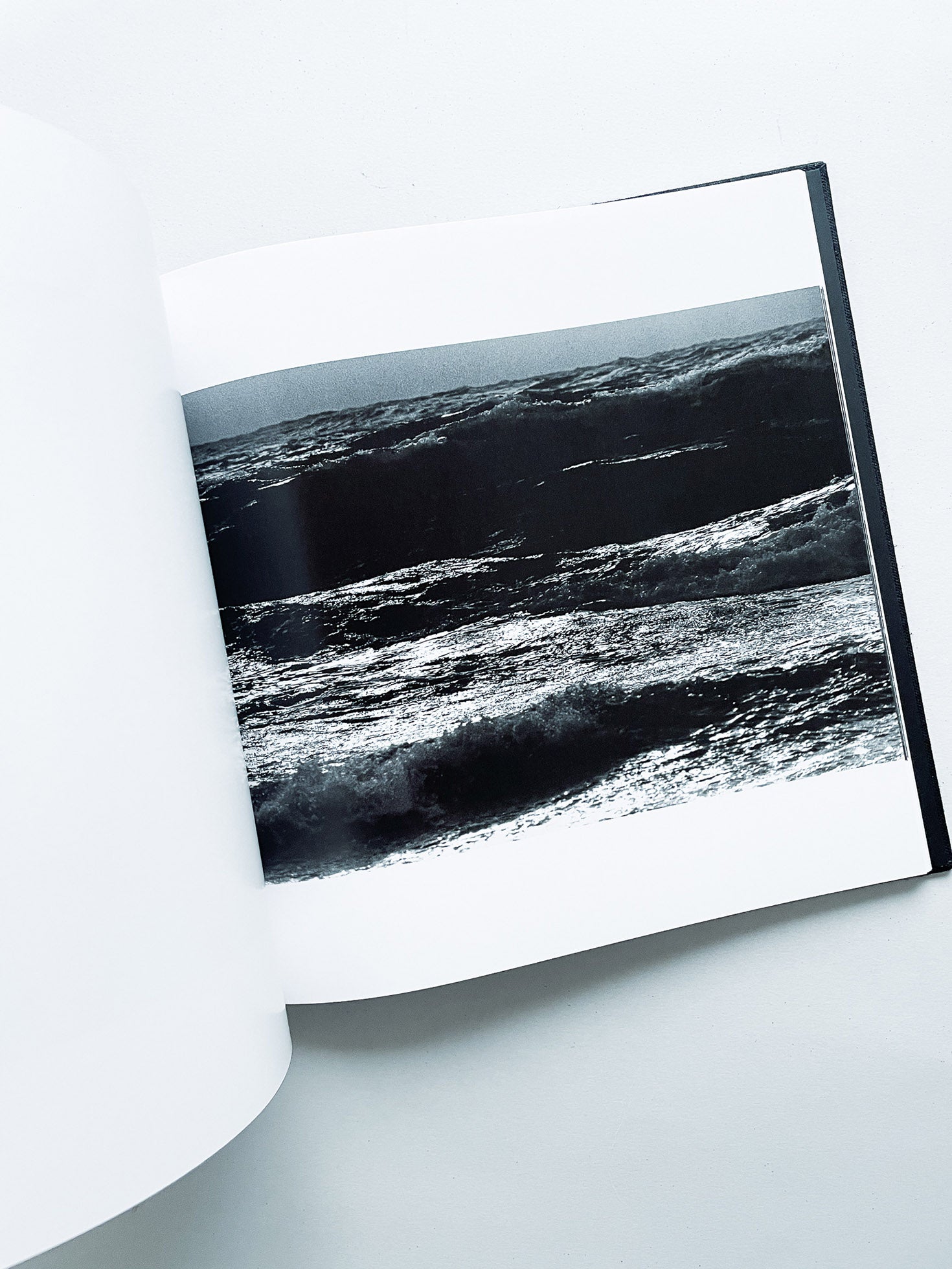 鴉 RAVENS / Masahisa Fukase