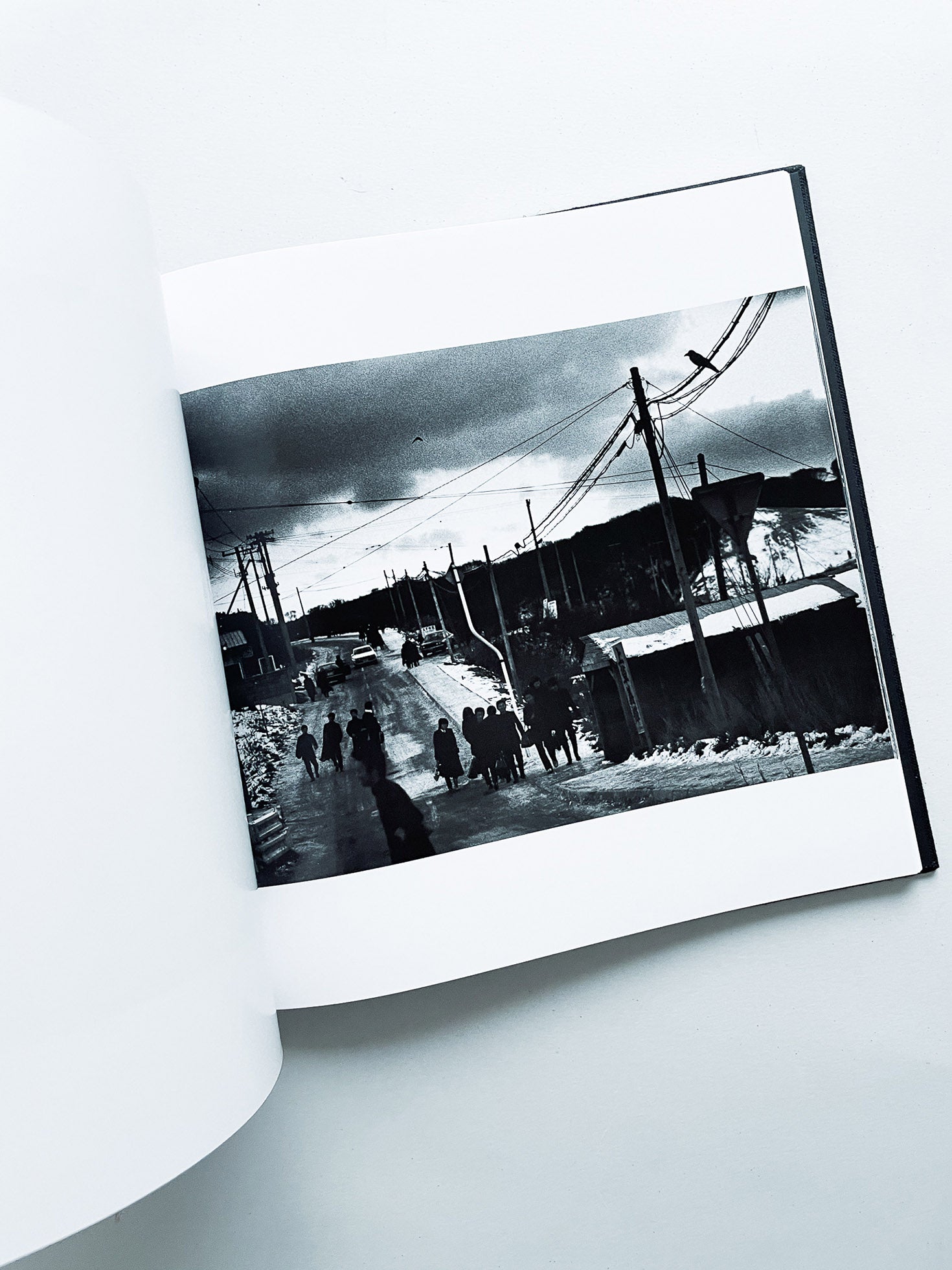 鴉 RAVENS / Masahisa Fukase