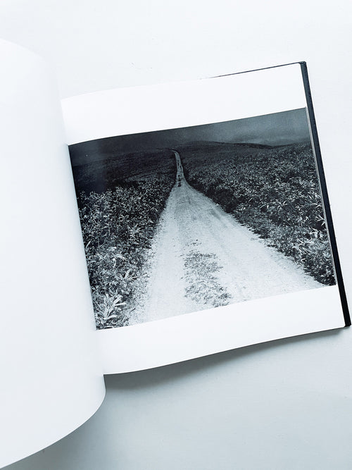 鴉 RAVENS / Masahisa Fukase