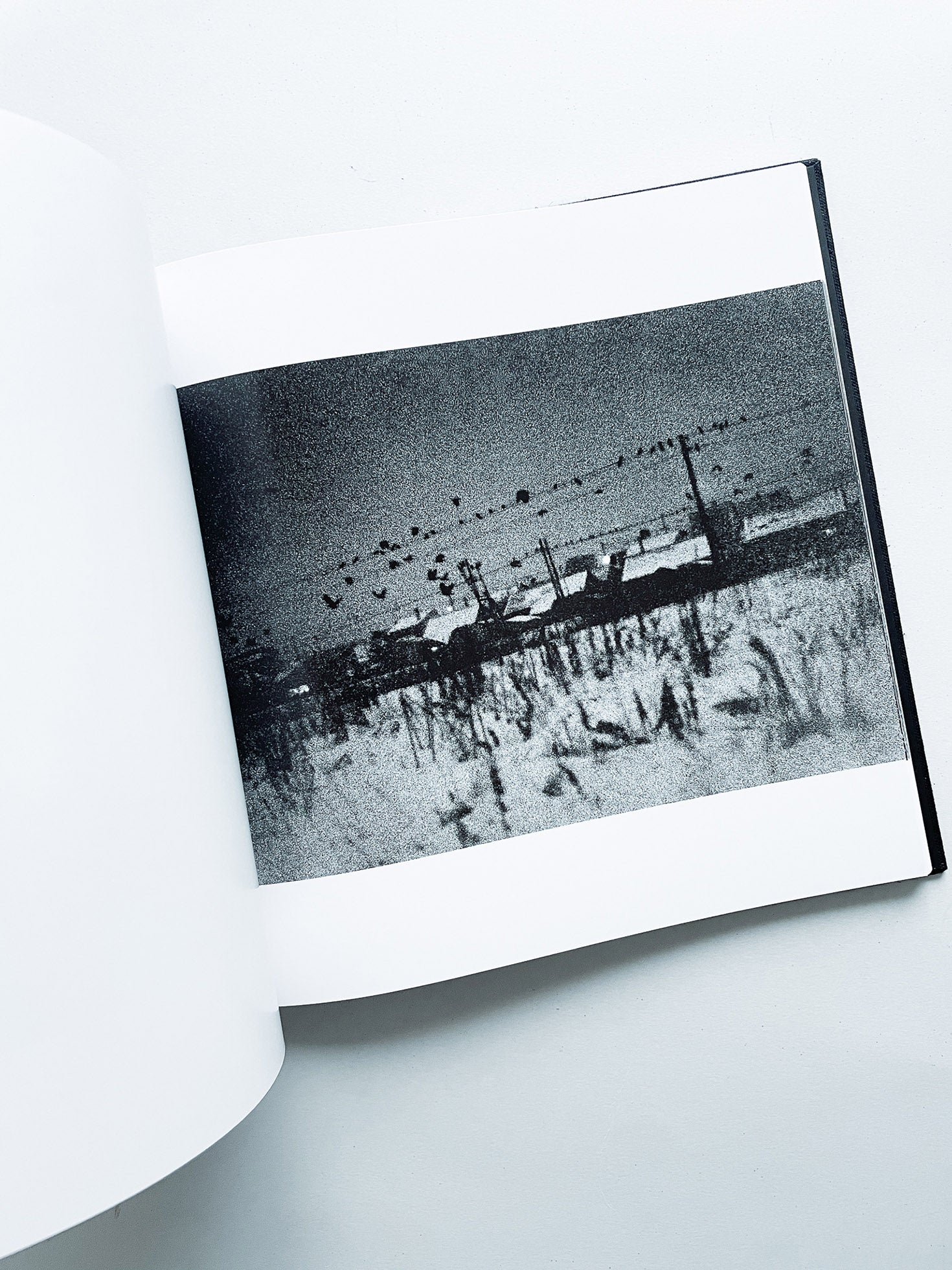 鴉 RAVENS / Masahisa Fukase